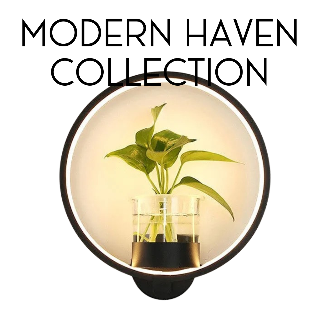 Modern Haven Collection